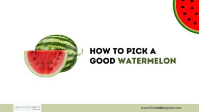 How to Pick a Good Watermelon